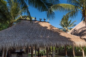 Beach Villas Lombok