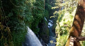 Shibui Garden Bungalows and Restaurant