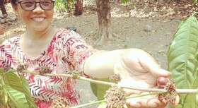 Shibui Garden Bungalows and Restaurant