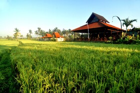 Kabinawa Ubud Villas and Cafe