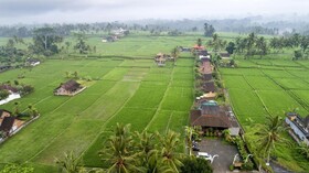 Kabinawa Ubud Villas and Cafe