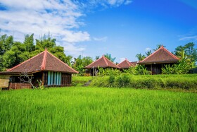 Ubud Sawah Scenery Villa and Homestay