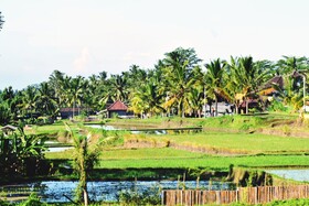 Ubud Sawah Scenery Villa and Homestay