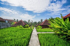 Ubud Sawah Scenery Villa and Homestay