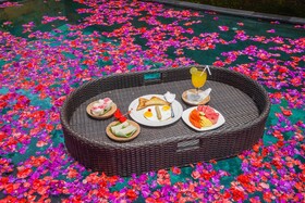 Ubud Sawah Scenery Villa and Homestay