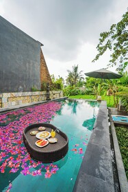 Ubud Sawah Scenery Villa and Homestay