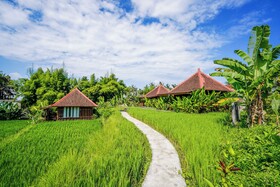 Ubud Sawah Scenery Villa and Homestay