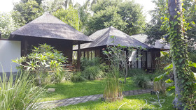 Bali Au Naturel