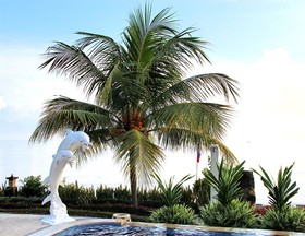 Bondalem Beach Club