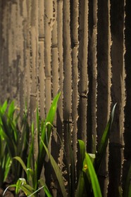 The Tiing Tejakula Villas