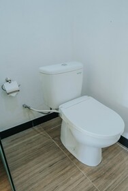 Alam Sembuwuk Resort Ubud