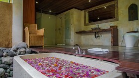Aryaswara Villa Ubud