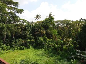 Amoya Inn