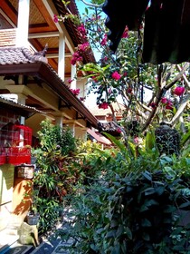 Arjuna Homestay Ubud