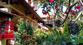 Arjuna Homestay Ubud