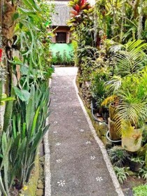 Arjuna Homestay Ubud