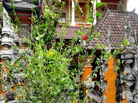 Arjuna Homestay Ubud