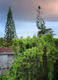 Brata Inn