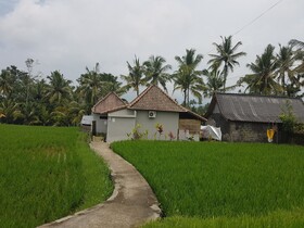 Buda Cottage Ubud
