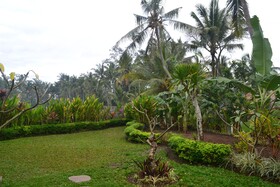 Buda Cottage Ubud