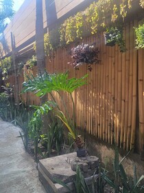 Bulan Bali Hostel