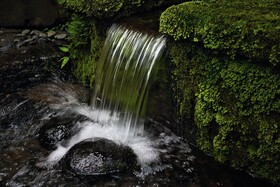 COMO Shambhala Estate