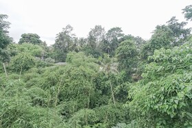 Giri Krisna Guest House