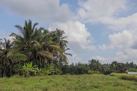 Green Sala Villa