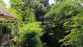 Bejraee Kumar Guest House Ubud
