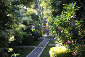 In Da Garden