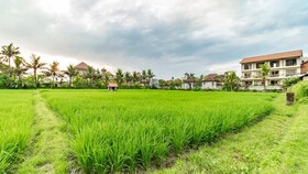 Juli House by Mahaputra