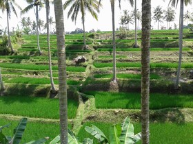Junjungan Suite Villa