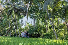 Kanhara Villas by Pramana Villas