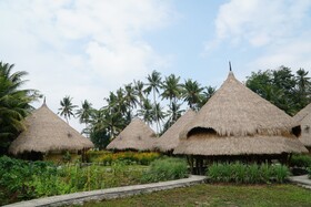 Mana Earthly Paradise