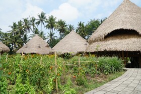 Mana Earthly Paradise