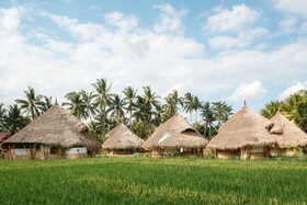 Mana Earthly Paradise