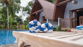 Nyamane Ubud Green View Villas by EPS