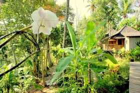 Prashanti
