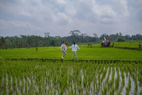 Puri Wulandari Boutique Resort & Spa