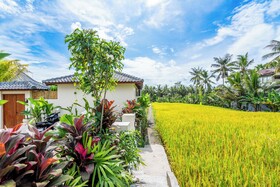 Rice Field Villa