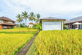 Rice Field Villa
