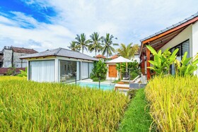 Rice Field Villa