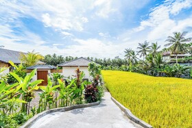 Rice Field Villa