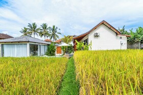 Rice Field Villa