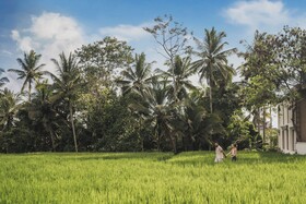 Suara Alam Ubud