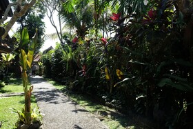 Suastika Bed & Breakfast