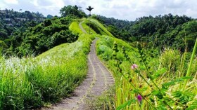 Sulendra Jungle Suites Ubud View by EPS