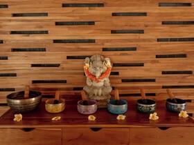 Tattva Bali Retreat & Wellness