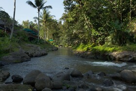 The Samaya Ubud Bali