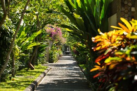 The Samaya Ubud Bali